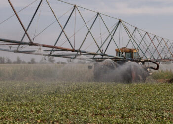 Attacks in Black Sea Threaten to Strangle Global Grain Supply
