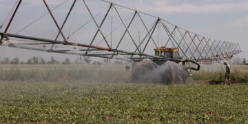 Attacks in Black Sea Threaten to Strangle Global Grain Supply