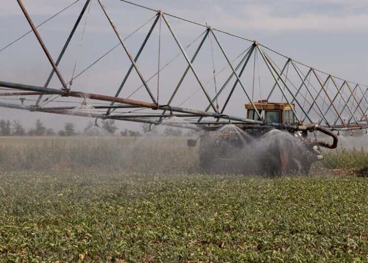 Attacks in Black Sea Threaten to Strangle Global Grain Supply