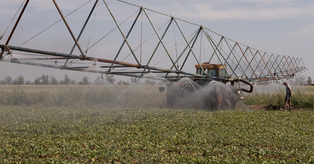 Attacks in Black Sea Threaten to Strangle Global Grain Supply