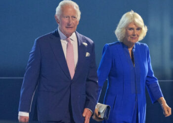 Charles to View the Bayeux Tapestry, This Time as King