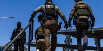 ICE Plans to Pay $5 Million to Create National Voting Database