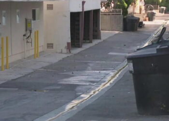 ‘Why was the knife so necessary?’ New details emerge in case of Beverly Hills fatal stabbing