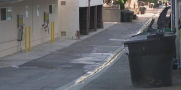 ‘Why was the knife so necessary?’ New details emerge in case of Beverly Hills fatal stabbing