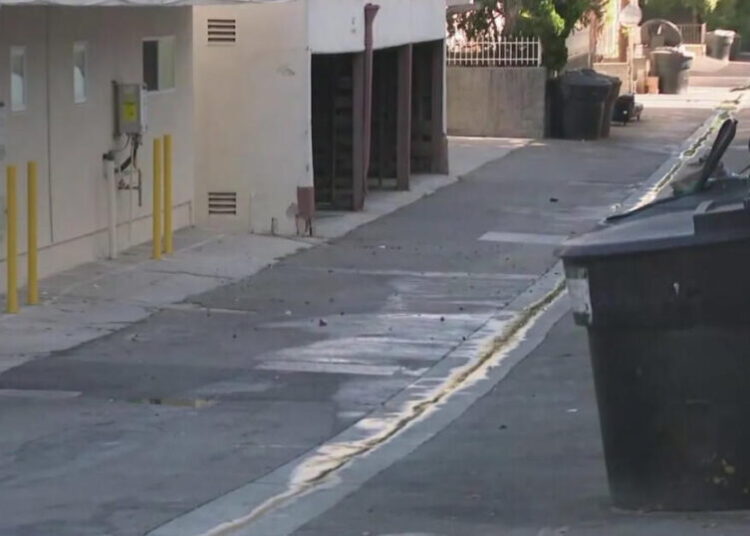 ‘Why was the knife so necessary?’ New details emerge in case of Beverly Hills fatal stabbing