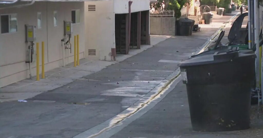 ‘Why was the knife so necessary?’ New details emerge in case of Beverly Hills fatal stabbing