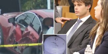 New theory involving large nitrous oxide canister delays Fraser Bohm trial in death of four Pepperdine students