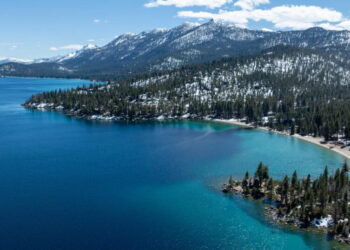 Woman attacked by sea otter at Lake Tahoe was bruised, bloodied but sure one skill saved her