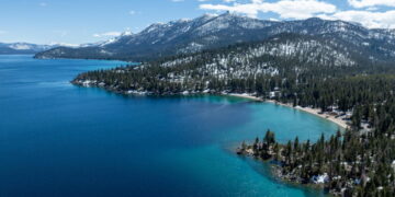 Woman attacked by sea otter at Lake Tahoe was bruised, bloodied but sure one skill saved her