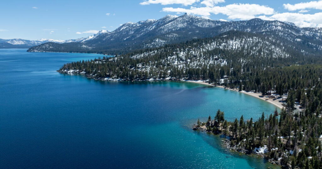 Woman attacked by sea otter at Lake Tahoe was bruised, bloodied but sure one skill saved her