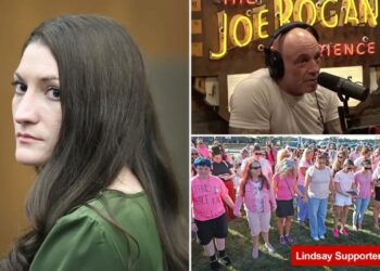 Joe Rogan tears apart Lindsay Clancy advocates, questions support if a father was standing trial for same crime