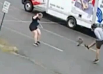 Mystery animal terrorizing New Hampshire neighborhood after attacking 3rd person