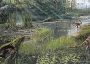 What Did Jurassic Forests Sound Like? Like This.