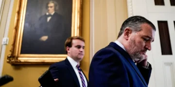 ‘His knuckles turn white’: Ted Cruz says Trump raged as Elon named him in Epstein files
