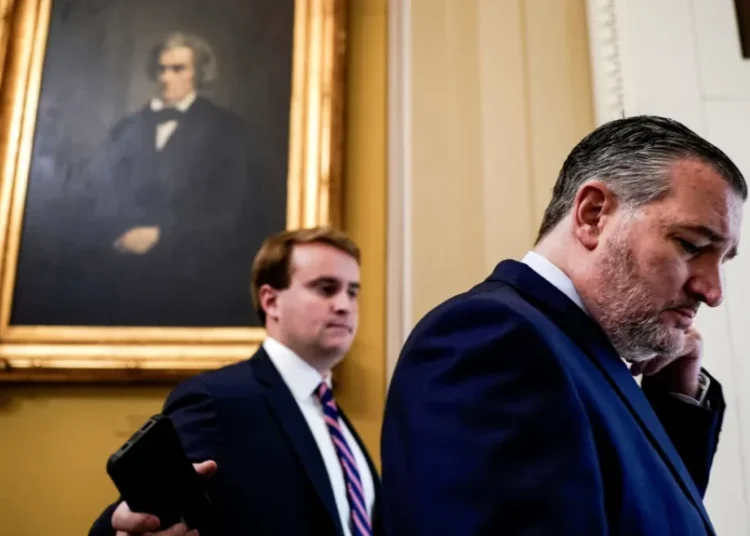 ‘His knuckles turn white’: Ted Cruz says Trump raged as Elon named him in Epstein files