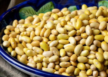 It’s creamy. It’s got oomph. The versatile yellow bean from Peru that Mexican and Italian cooks love