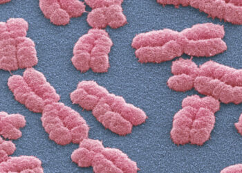 Scientists Find More Than 1,000 Genetic Variants Linked to Personality
