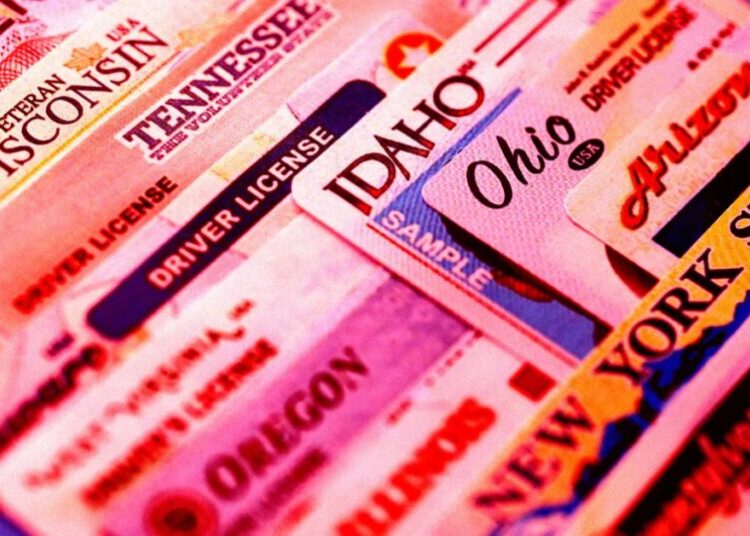Hackers Are Selling Stolen Scans of 153 Million US and Canadian Drivers Licenses, Which Very Likely Include Yours