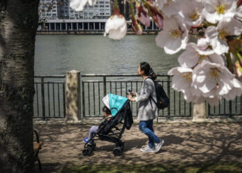 Cleaner Air, Smarter Toddlers