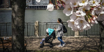 Cleaner Air, Smarter Toddlers