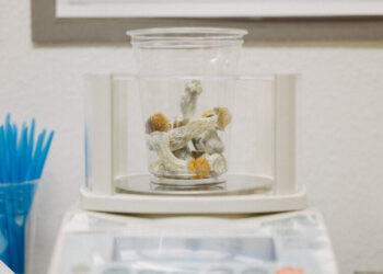 Psilocybin May Prevent Nerve Damage Caused by Chemotherapy, Study Finds
