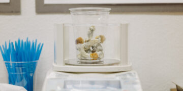 Psilocybin May Prevent Nerve Damage Caused by Chemotherapy, Study Finds