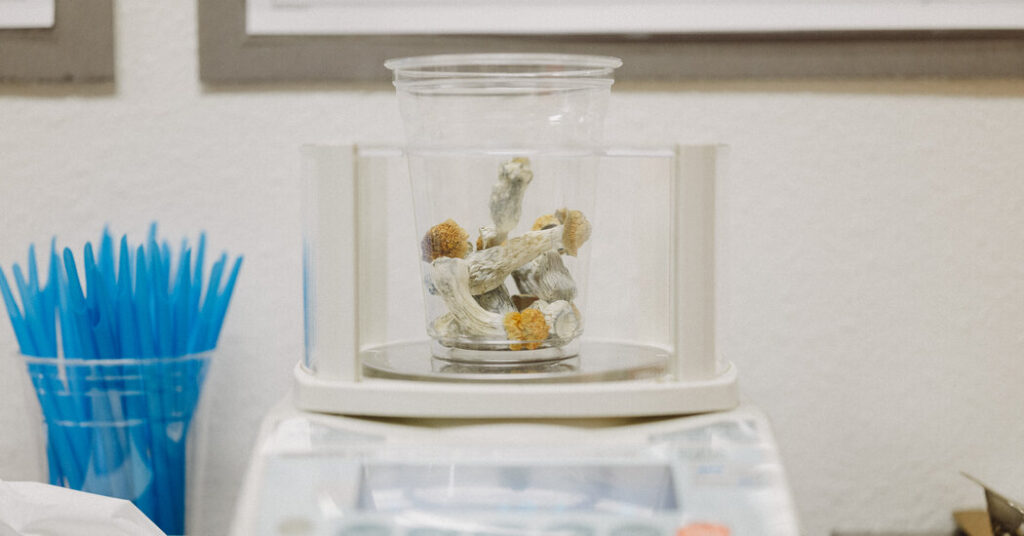 Psilocybin May Prevent Nerve Damage Caused by Chemotherapy, Study Finds