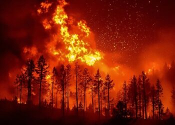United Nations Concedes That Efforts to Arrest Climate Change Have Failed, and the Planet Is Now Spiraling Into Environmental Catastrophe