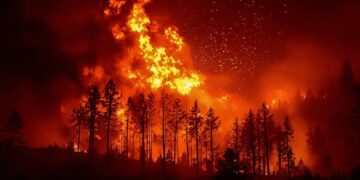 United Nations Concedes That Efforts to Arrest Climate Change Have Failed, and the Planet Is Now Spiraling Into Environmental Catastrophe