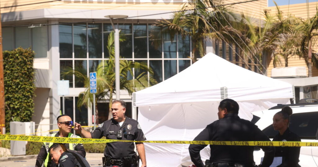 1 dead, 4 injured after senior driver crashes car in Trader Joe’s parking lot, police say