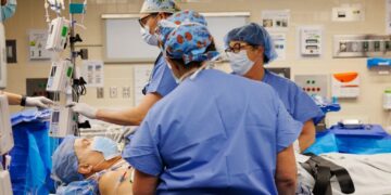 Transplanted Pig Kidney Still Working After a Record-Setting 9 Months in a Patient
