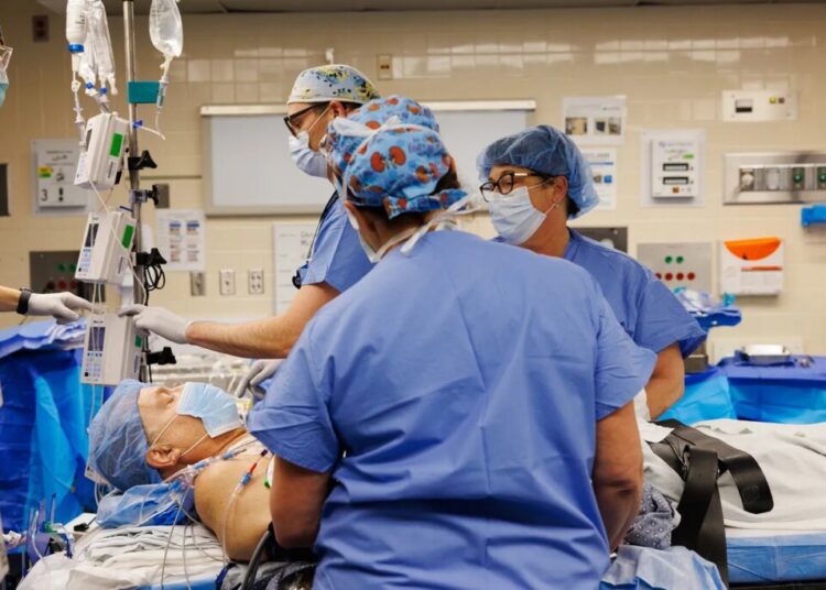 Transplanted Pig Kidney Still Working After a Record-Setting 9 Months in a Patient