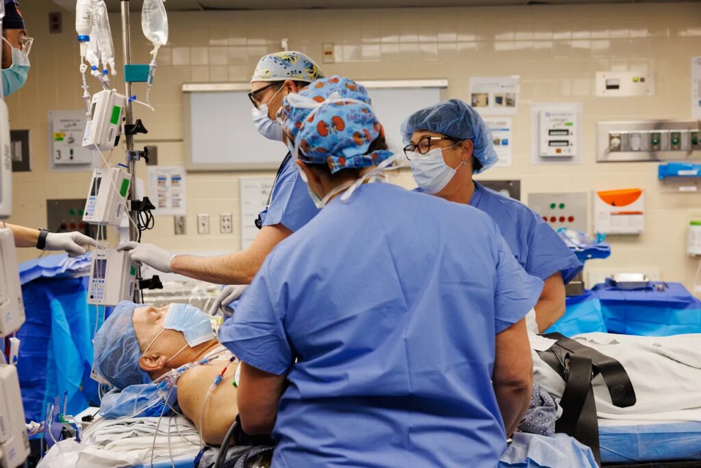 Transplanted Pig Kidney Still Working After a Record-Setting 9 Months in a Patient