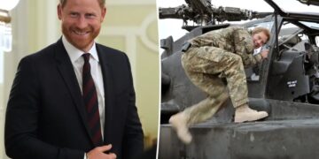 Prince Harry commits to dangerous stunt for first appearance since UK return