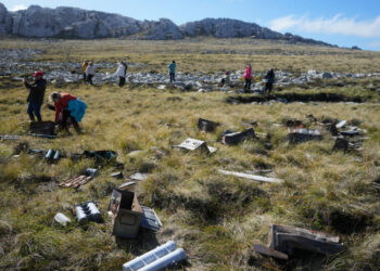 Argentina Is Ramping Up Its Claim to the Falklands. Here’s What to Know.