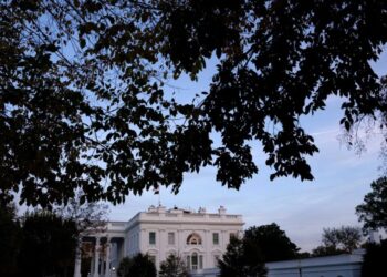 TV’s MAGA maniacs are clawing for a top White House gig — while showing Dems how to win