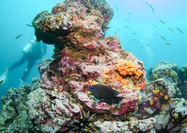 As world braces for ‘super’ El Niño, research suggests global warming has increased its punch