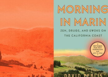 Ewoks, LSD and ‘swimmable wealth’: Inside Northern California’s lost bohemian dream