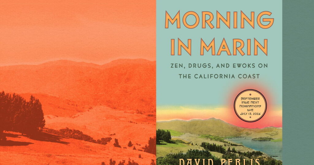 Ewoks, LSD and ‘swimmable wealth’: Inside Northern California’s lost bohemian dream