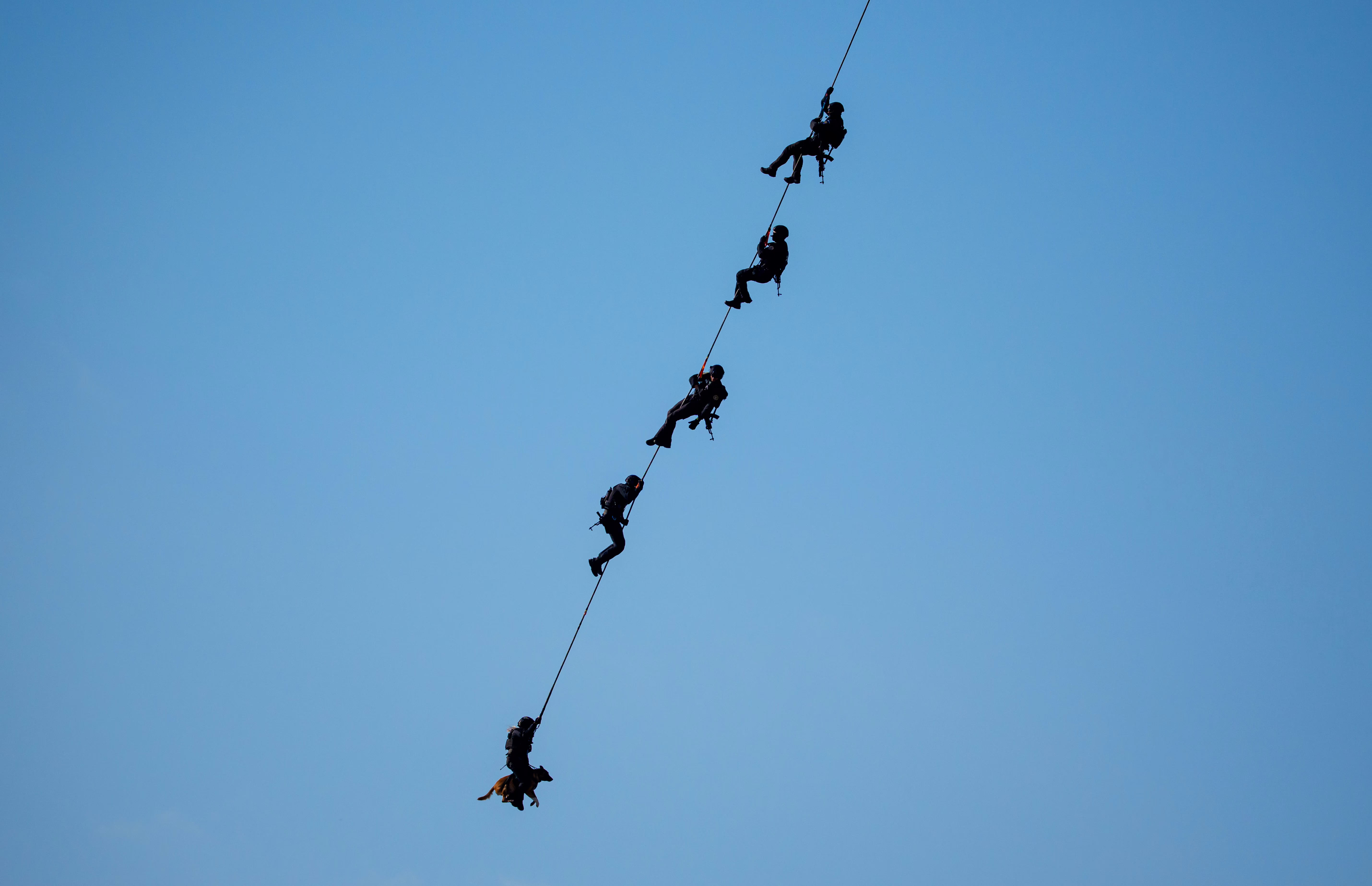 Five police officers and one dog dangle on a long cable, hanging beneath a helicopter.