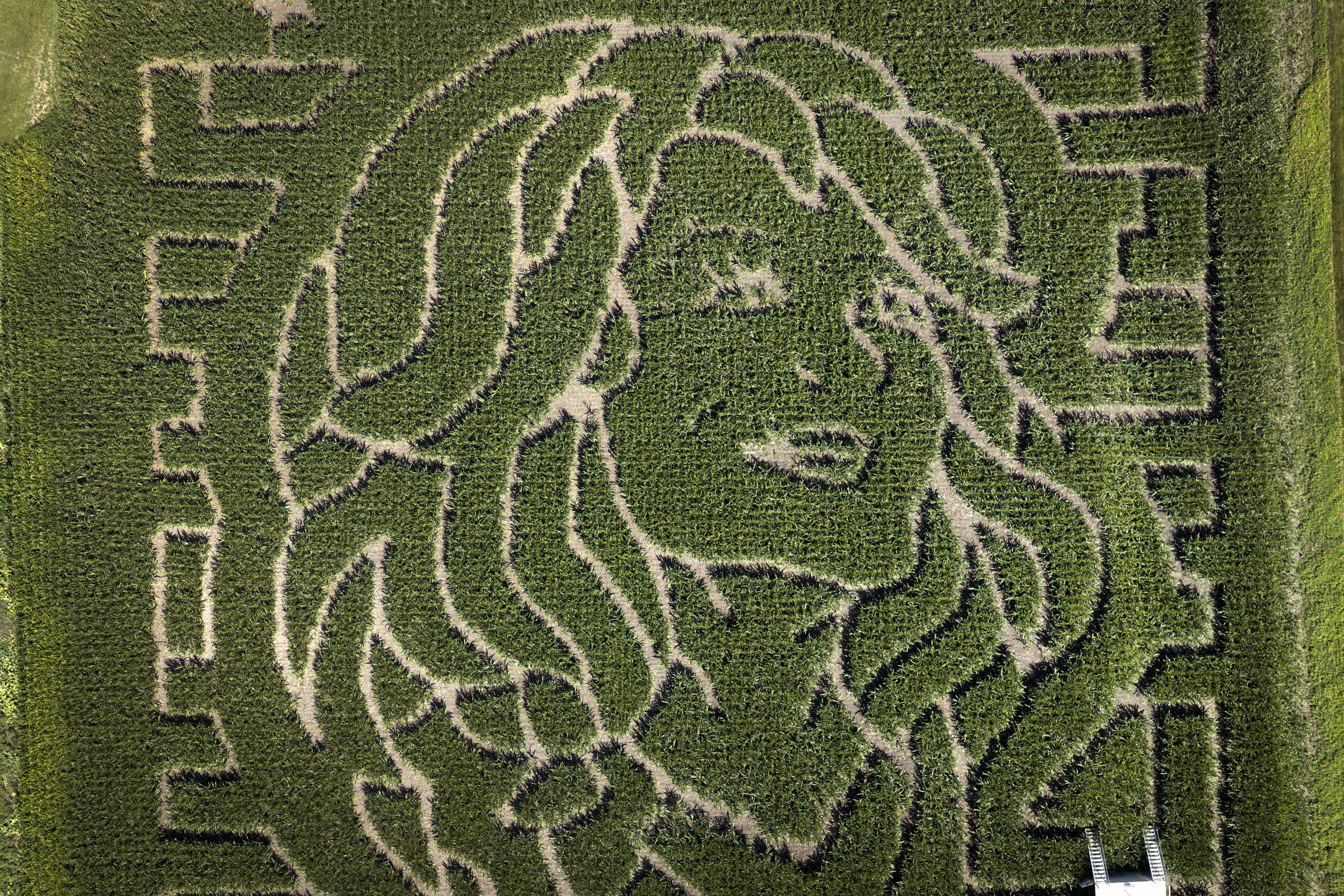 An aerial view shows the likeness of Dolly Parton carved into a corn maze.