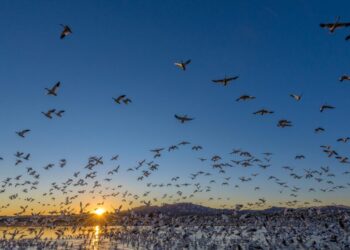 What a Record Hunting and Fishing Expansion Means for America’s Wildlife Refuges