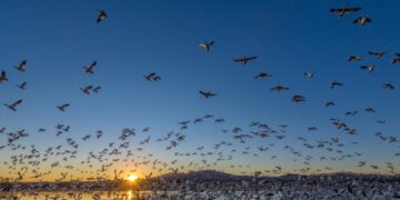 What a Record Hunting and Fishing Expansion Means for America’s Wildlife Refuges