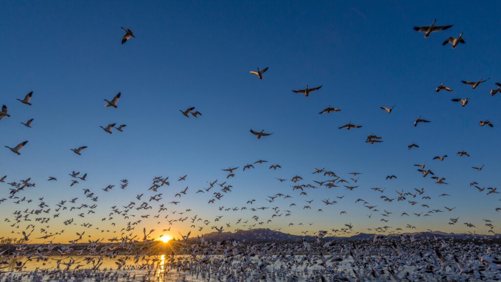 What a Record Hunting and Fishing Expansion Means for America’s Wildlife Refuges