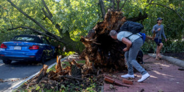 Fallen trees, power outages in D.C. area after storm lights up skies