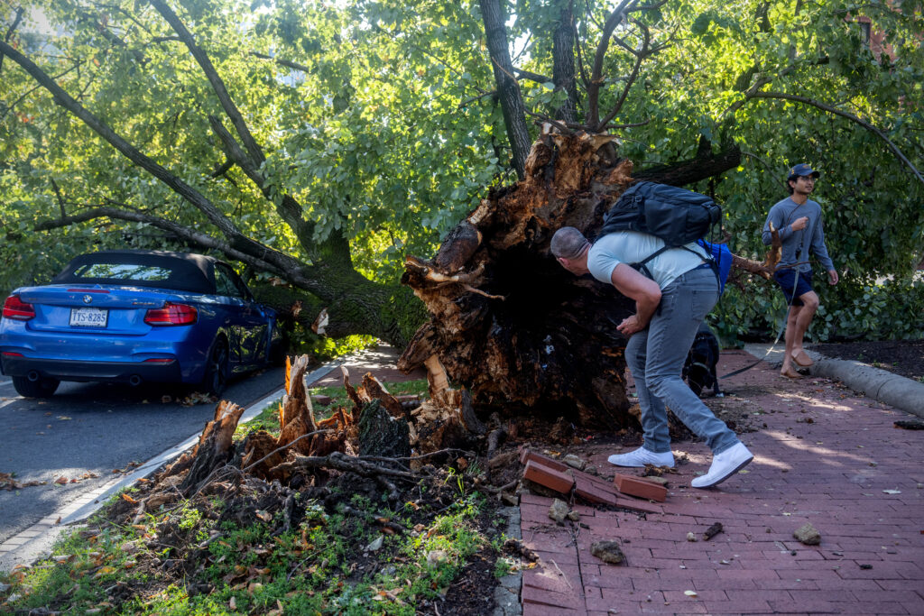 Fallen trees, power outages in D.C. area after storm lights up skies