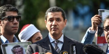 U.A.E. Pardons Egyptian Dissident Sentenced to 10 Years in Prison