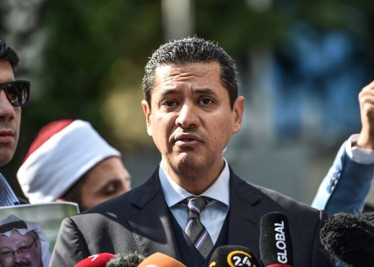 U.A.E. Pardons Egyptian Dissident Sentenced to 10 Years in Prison