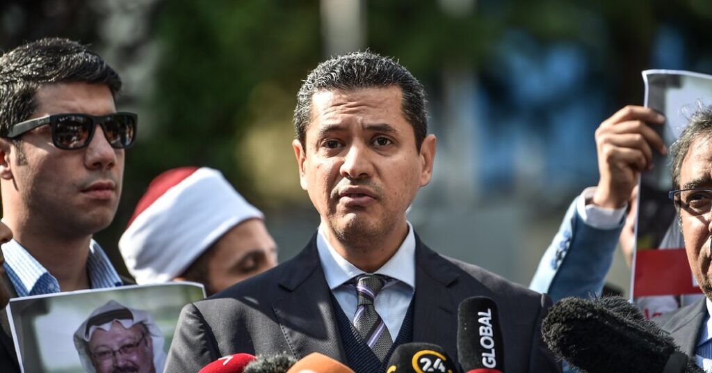 U.A.E. Pardons Egyptian Dissident Sentenced to 10 Years in Prison