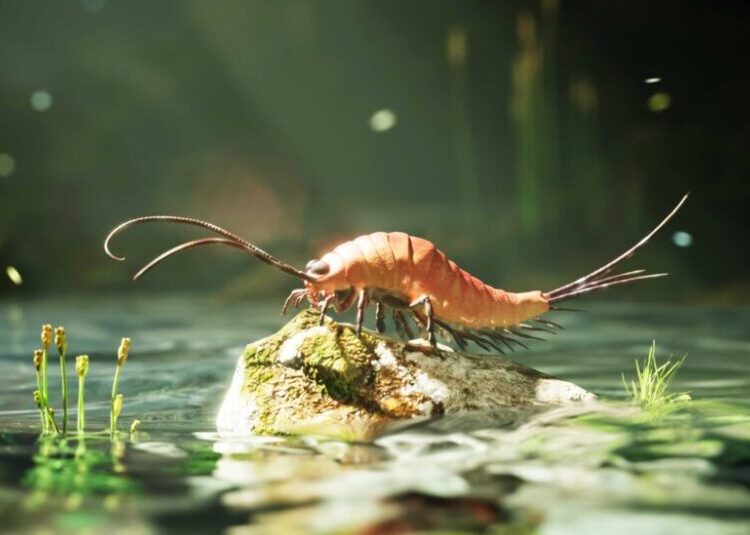 The World’s First Bugs Had Way More Legs